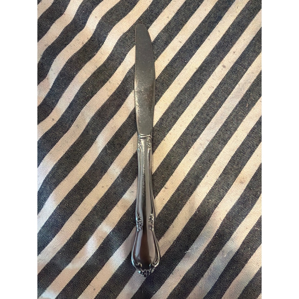 Oneida Community Chateau Silverplate Dinner Knife Vintage 1947 Floral MCM